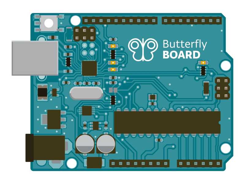 Board with the logo "Butterfly Board"